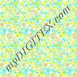 Colour:K