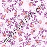 Colour:B