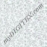 Colour:C