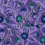 Colour:F