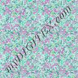 Colour:C