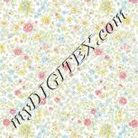 Colour:A