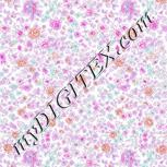 Colour:B