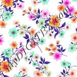 Colour:B