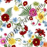 Colour:A