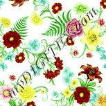 Colour:K