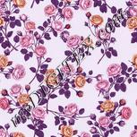 Colour:B