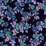 Colour:F