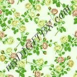 Colour:K