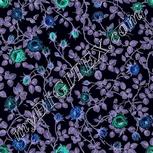 Colour:F