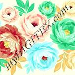 Colour:K
