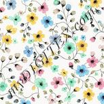 Colour:A