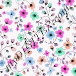 Colour:B