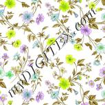 Colour:D