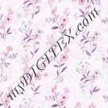 Colour:B