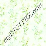 Colour:K