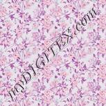 Colour:B