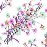 Colour:B