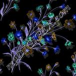 Colour:F