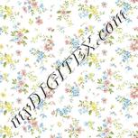 Colour:A