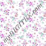 Colour:B