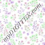 Colour:C