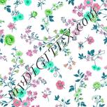 Colour:C