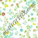 Colour:K