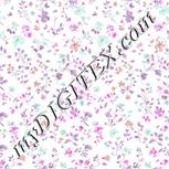 Colour:B