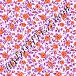 Colour:B