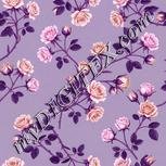 Colour:B