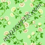 Colour:K