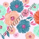 Colour:B