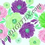 Colour:C