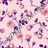 Colour:B
