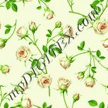 Colour:K