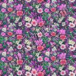 Colour:B