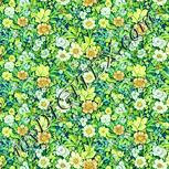 Colour:K