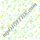 Colour:K