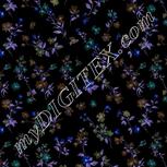 Colour:F