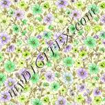 Colour:D