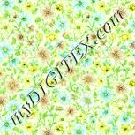 Colour:K