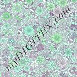 Colour:C