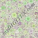 Colour:D