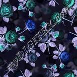 Colour:F