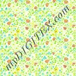 Colour:K