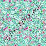 Colour:C