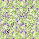 Colour:D
