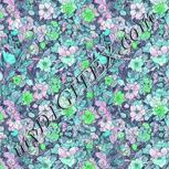 Colour:C