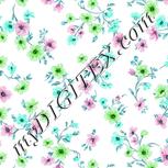 Colour:C